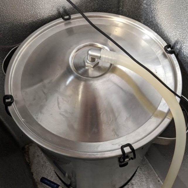 stainless steel fermenter in fermentation chamber