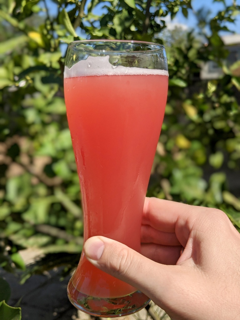 deep pink beer in Belgian wit glass, held aloft against green tree leaves